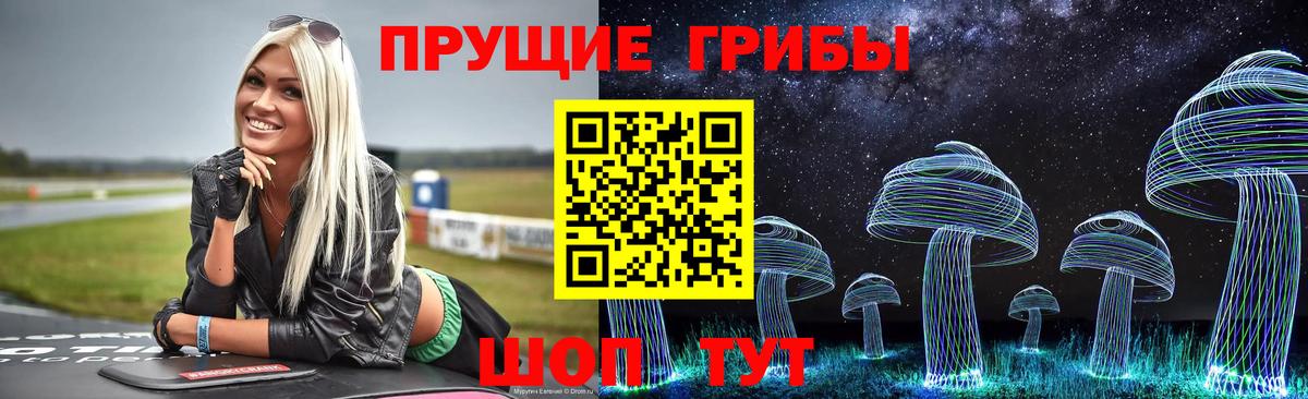 Галлюциногенные грибы Psilocybine cubensis Серов