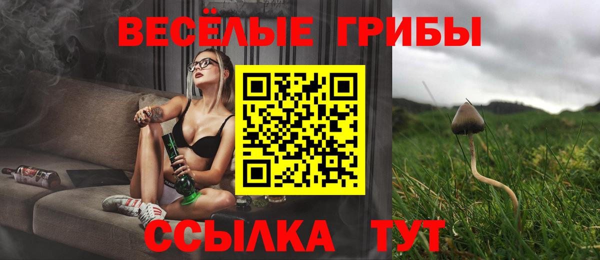 Галлюциногенные грибы MAGIC MUSHROOMS  Вход с VPN  Серов 